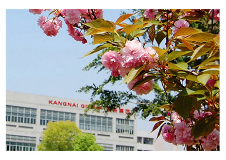 康奈集團(tuán) 康奈集團(tuán)