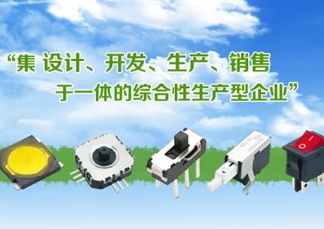 溫州派爾仁斯電子有限公司 溫州派爾仁斯電子有限公司